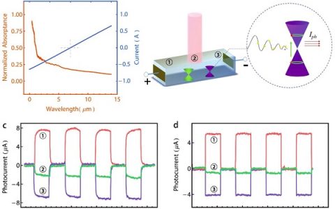 山东大学张怀金Adv. Mater.:宽波段光敏外尔半金属单晶—TaAs