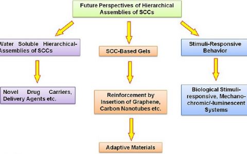 美国犹他大学Peter J. Stang课题组Acc. Chem. Res.综述: 超分子配合物的分层组装