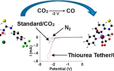 魏茨曼研究所JACS: 电化学还原中的高活性催化剂——二配位层硫脲