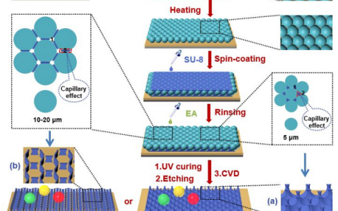 复旦大学ACS Nano: 大面积制备坚固透明的超双疏聚合物薄膜