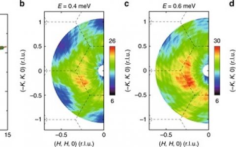 复旦大学赵俊&陈钢Nat. Commu.(Editors’ Highlights):部分磁化的量子自旋液体候选材料YbMgGaO4中的分数化激发