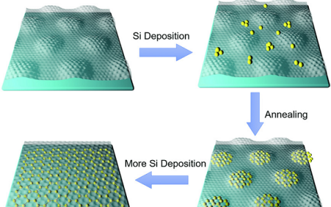 物理所高鸿钧、杜世萱AM: 石墨烯/硅烯范德华异质结构中的稳定硅烯