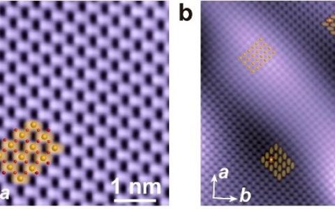 清华薛其坤、李渭&华科徐刚Nano letters:FeSe薄膜中向列畴界的边缘态