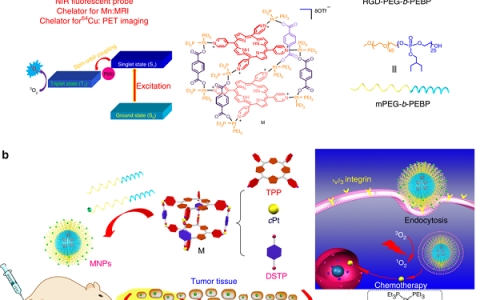 陈小元、黄飞鹤、毛峥伟& Peter J. Stang Nat. Commun.: 一种离散的有机铂(II)金属催化剂作为癌症光化学疗法的多模式治疗平台