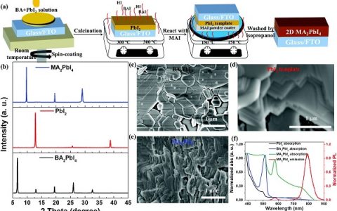 陕西师范大学刘生忠团队EES:气相熏蒸法制备高效且稳定的二维钙钛矿太阳能电池
