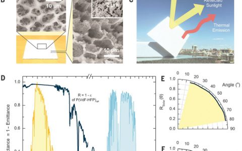 今日Science:用于高效被动日间辐射冷却的分层多孔聚合物涂层