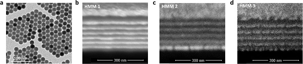 国立台湾大学 陈永芳教授 ACS Nano : 一种高效的单节段白色随机激光器