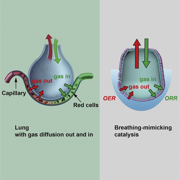 斯坦福大学崔屹团队Joule:一种会“呼吸”的OER和ORR催化剂