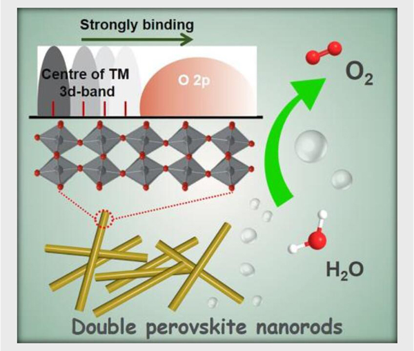苏州大学黄小青团队Angew. Chem. Int. Ed.:实现高效析氧反应的双钙钛矿LaFexNi1-xO3纳米棒催化