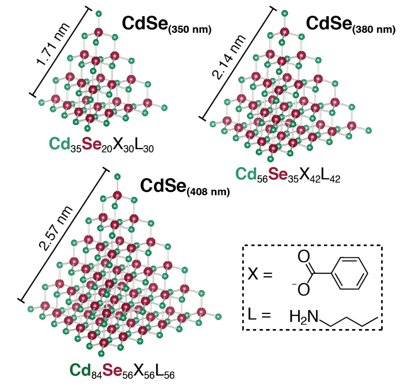 Phys. Rev. Lett.: 原子级精密的CdSe量子点晶格动力学的尺寸依赖性