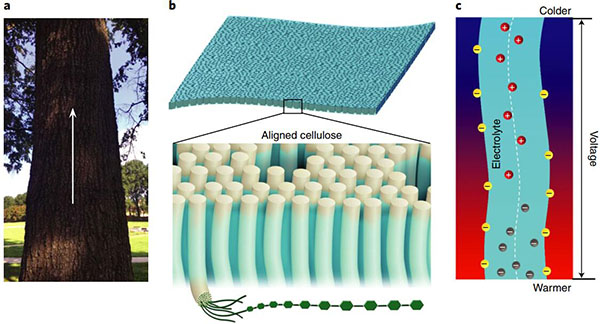 马里兰大学胡良兵教授Nature Mater:纤维素离子导体助力热电转换