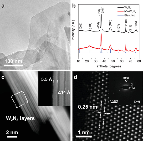 Adv. Mater.: 二维层状W2N3的氮空位:一个稳定有效的氮还原反应活性位点