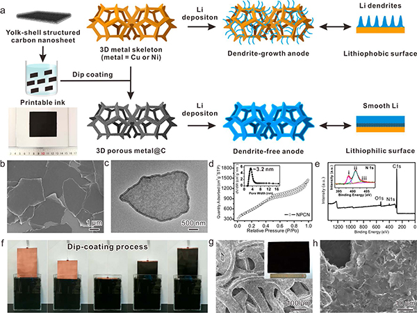 厦门大学ACS Nano: 用于构建高能量密度锂硫电池的亲锂性三维多孔集流体