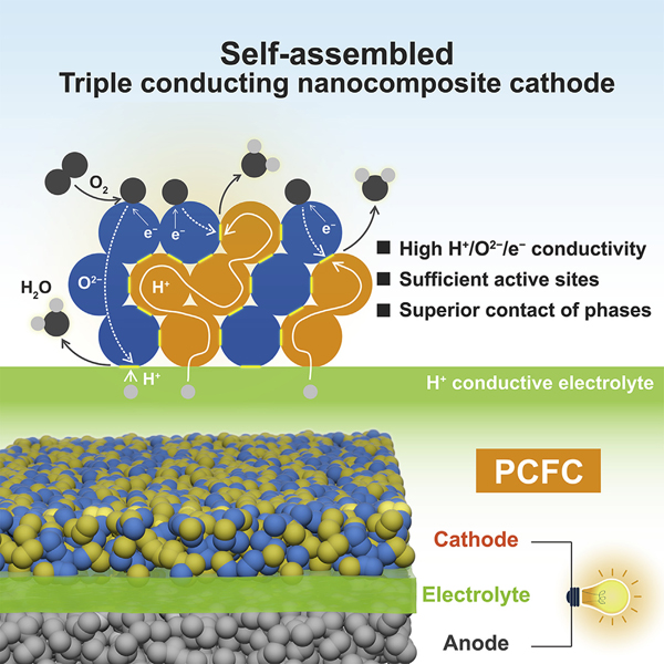 南京工业大学邵宗平团队Joule:自组装三导电纳米复合材料作为质子陶瓷燃料电池阴极