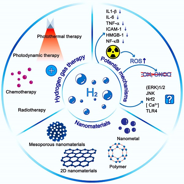 福州大学ACS Nano:氢气疗法—从炎症治疗到肿瘤治疗中的机理及应用