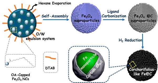 Nano Lett.:控制铁纳米粒子在碳微球中的组装实现高效电催化反硝化