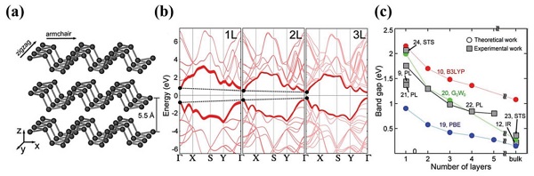 深圳大学郭志男、张晗Adv. Funct. Mater.: Phosphorene稳定性和钝化技术在下一代器件应用中的最新进展