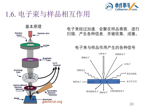 扫描电镜样品受激发射的主要信号