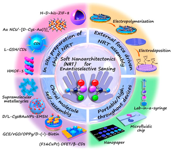 迪肯大学杨文荣团队Acc. Chem. Res.:基于软纳米构建技术为基础的手性生物传感