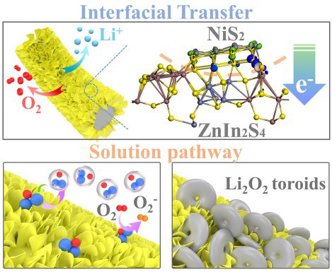 电子科大熊杰ACS Nano:NiS2/ZnIn2S4异质结实现锂-氧电池中类环状Li2O2沉积
