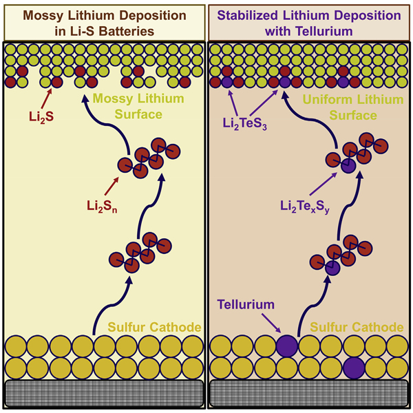 Goodenough接班人Arumugam Manthiram团队Joule:借助碲稳定锂沉积实现了无负极贫电解质锂硫电池