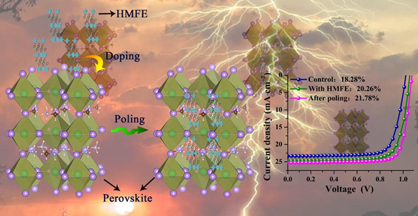 苏州大学邹贵付课题组&南昌大学熊仁根课题组Angewandte Chemie:分子铁电驱动的高效钙钛矿太阳能电池