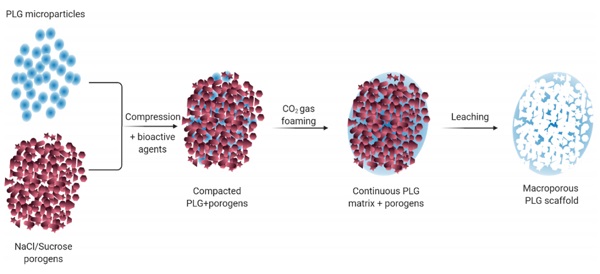 哈佛大学David J. Mooney Acc. Chem. Res.:生物材料在免疫调节中的用途