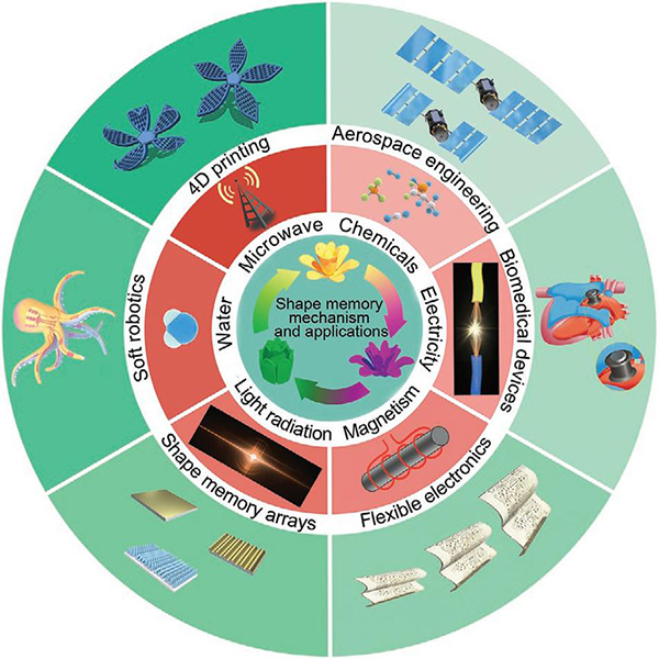 哈工大冷劲松教授团队《Adv. Mater.》综述: 形状记忆聚合物及复合材料的机理、材料及应用
