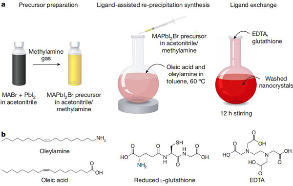 今日Nature:多齿配体处理实现混合卤化物钙钛矿LEDs的带隙稳定性工程