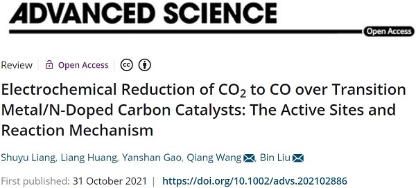 王强&刘斌Adv. Sci.:过渡金属基催化剂在电催化还原CO2生成CO中的应用