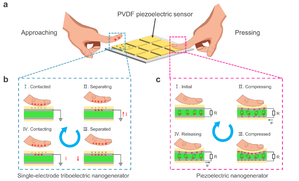 杨诚&王中林 Nature Communications:你测量到的“压电”信号有多少来自压电效应呢?