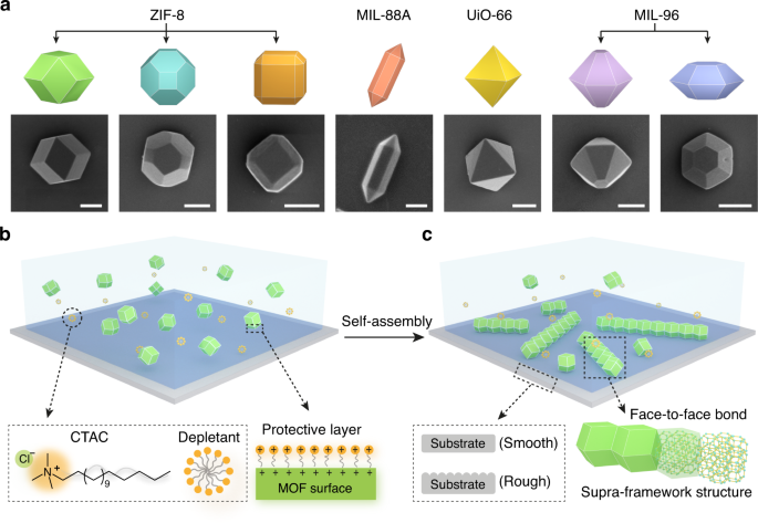 香港大学NC:金属有机框架(MOF)粒子的低维组装