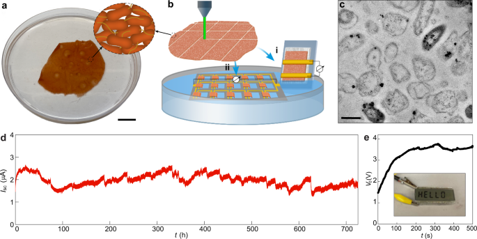 Nat. Commun. 黑HTH官网地址
:利用自然水蒸发发电