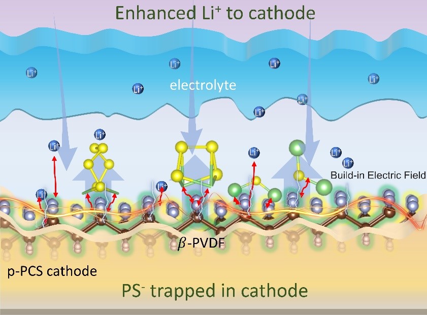 电场与电池,指引新思路:铁电工程助力锂硫电池