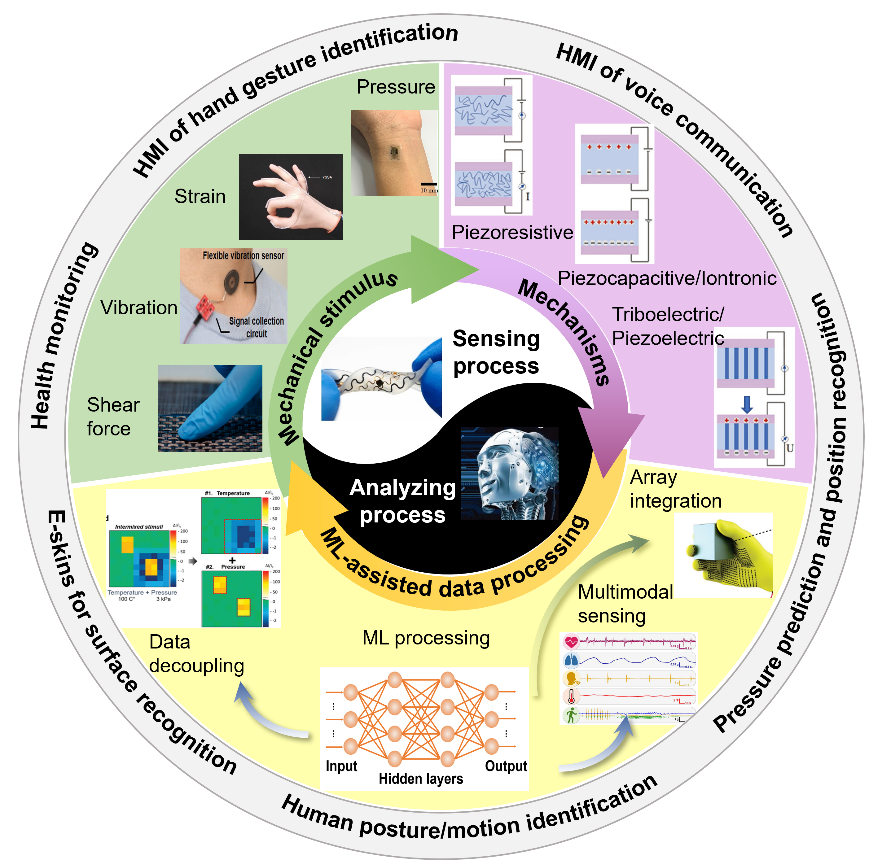 机器学习助力柔性力传感技术的发展