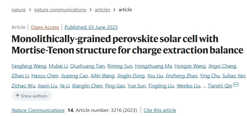 黄维-秦天石团队Nature Communications:钙钛矿电池遇见榫卯结构