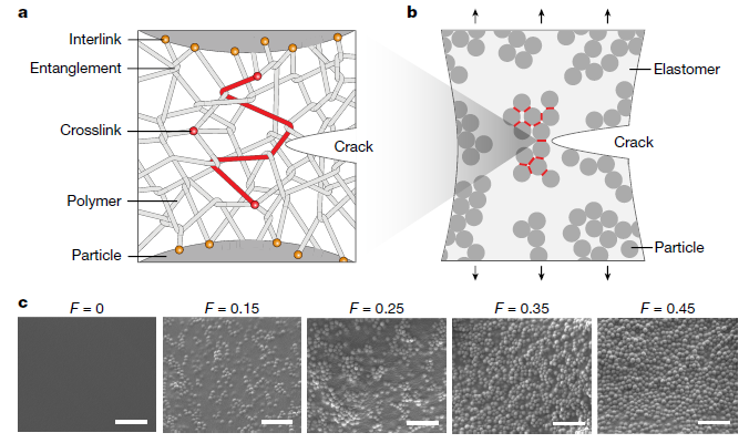 锁志刚院士最新Nature发现:应力分散设计有助于增强橡胶的疲劳寿命!