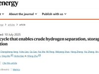 废氢变纯氢:铜催化一步法打破杂质魔咒