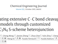 福建农林大学袁占辉团队CEJ | CeO2/C3N4异质结实现木质素C-C键高效断裂