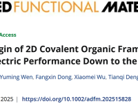 Advanced Functional Materials:二维COF半导体材料电、热输运与转换的理论计算研究