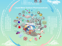 贵州大学药学院 汪达伟团队 Theranostics:描述镓基药物的制剂配方及药理活性,揭示了镓基液态金属的制药潜力