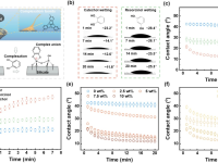 仿生驱油——基于贻贝黏附机制的高盐环境原油高效开采技术