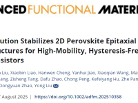 锡掺杂促进2D钙钛矿横向异质结稳定性提升和晶体管器件性能提升