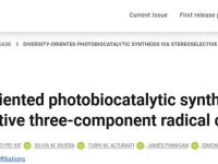 光生物催化,Science!