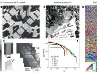 中国科学院沈阳金属研究所卢磊最新Nature Materials:从孪晶革命到梯度突破,卢磊二十年破解金属疲劳困局