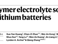 Nature:为实现600 Wh kg−1的锂离子电池而定制聚合物电解质的溶剂化