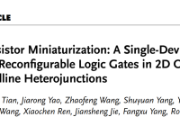 功能集成:有机集成电路发展的新范式