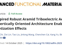 【Adv. Funct. Mater.】壁虎脚趾刚毛启发的摩擦电气凝胶