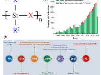 厦门大学/郑州大学/达姆施塔特工业大学合作Materials Today综述:“魔法元素”硼在聚合物先驱体转化陶瓷中的关键角色