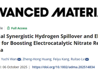 清华大学吕瑞涛教授、福州大学万宇驰副教授Adv. Mater.:界面氢溢流协同电子转移促进硝酸根还原产氨
